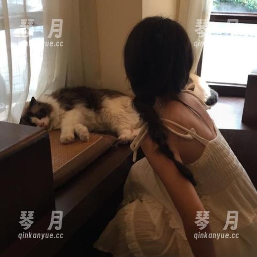 51cg 链接里的51cg,跟以前的版本完全不一样了吧?你感受到气息变化了吗?