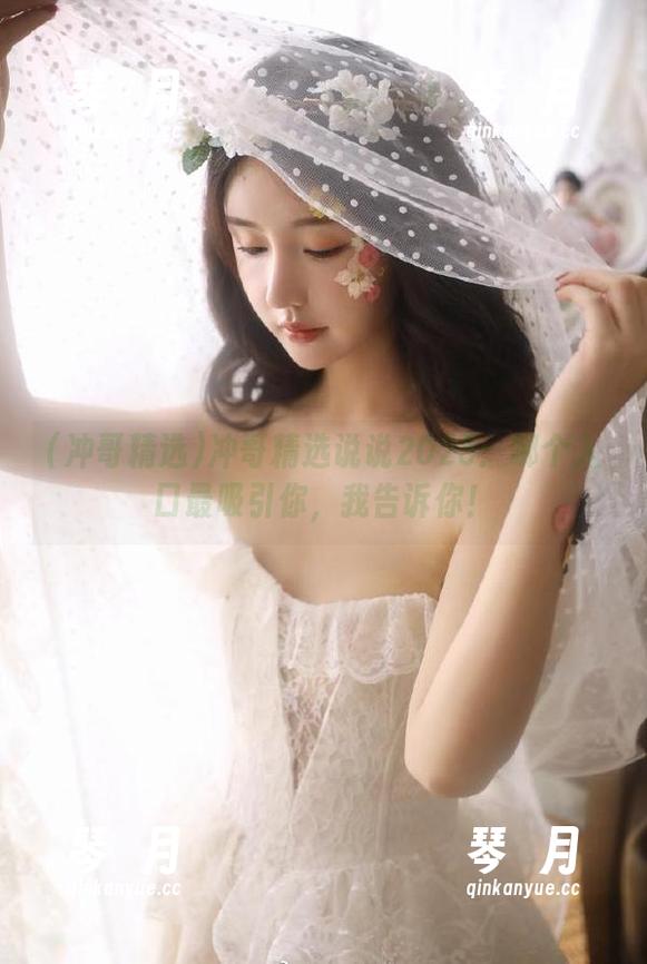 冲哥精选说说2025：哪个入口最吸引你，我告诉你！